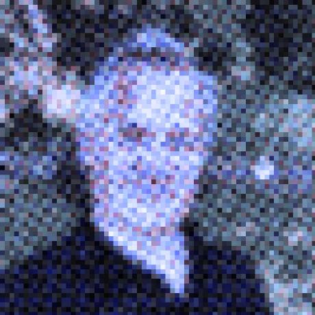 Author avatar
